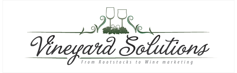 logo-design-vineyard-solutions